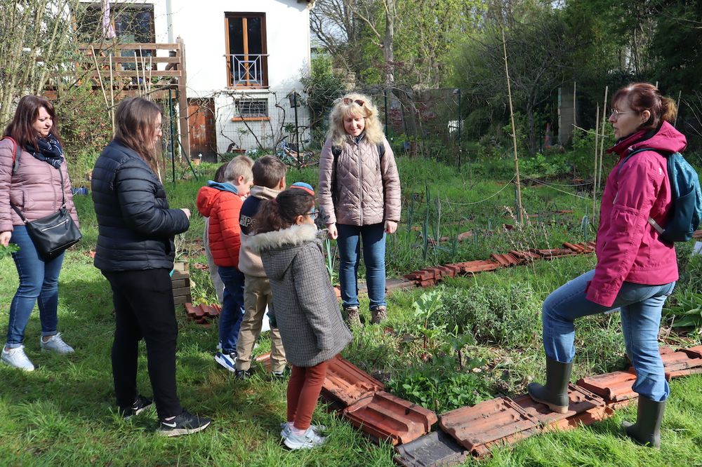 « Les enfants ont découvert un orvet ! »