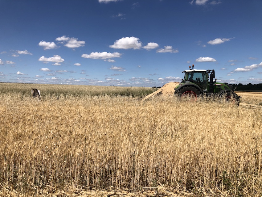 Les pains des Hirondelles : on en redemande !