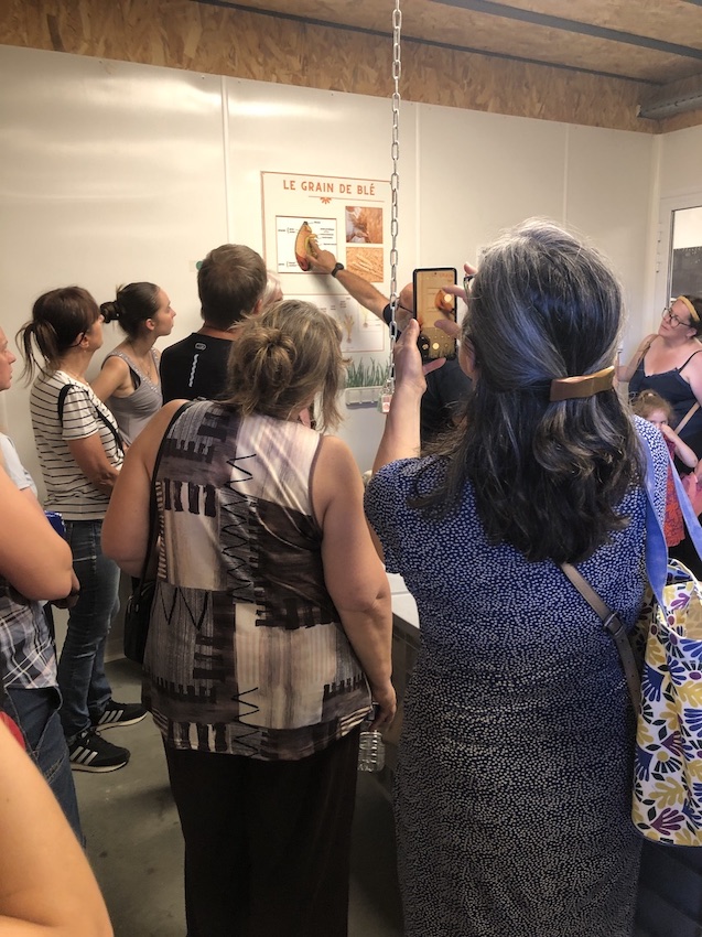 Art EPI ferme Hirondelles4