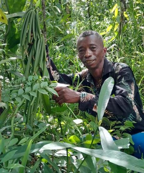 Producteur vanille Madagascar