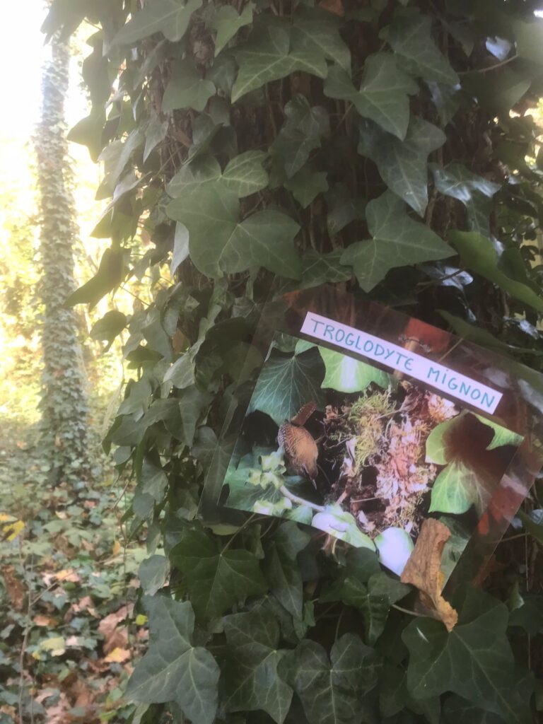 Visite école jardin2