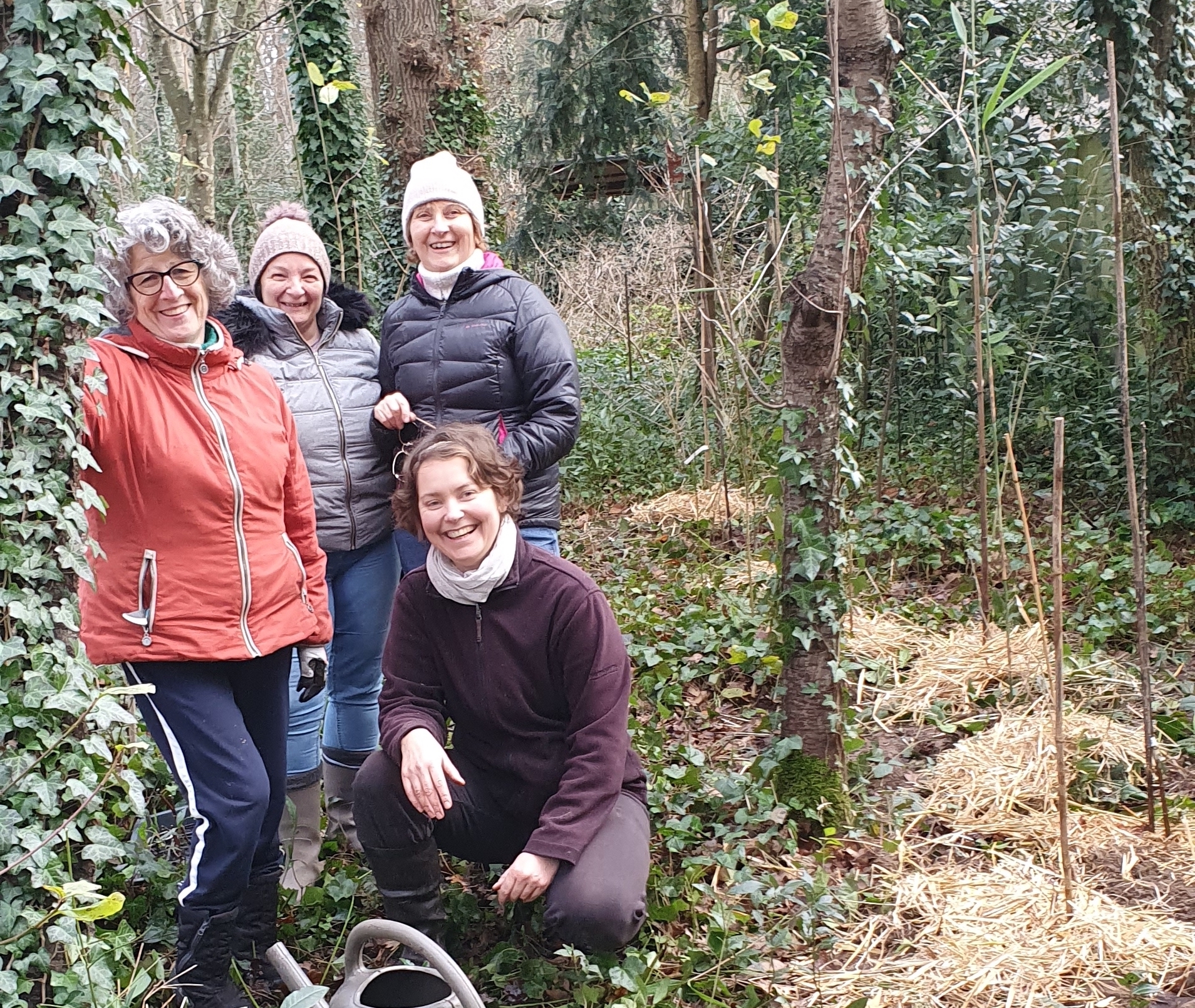 Le potager devient un jardin-forêt