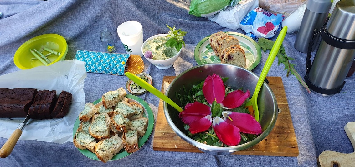 Programmation du jardin-forêt lancée !