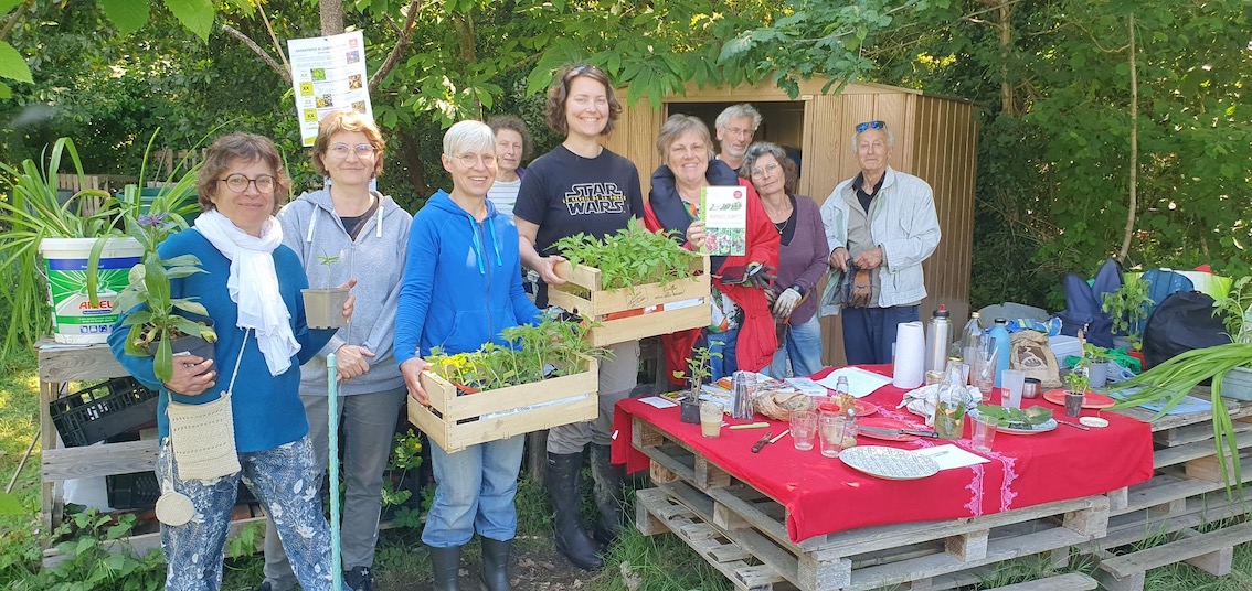 Au jardin, jeunes feuilles comestibles et troc de plantes