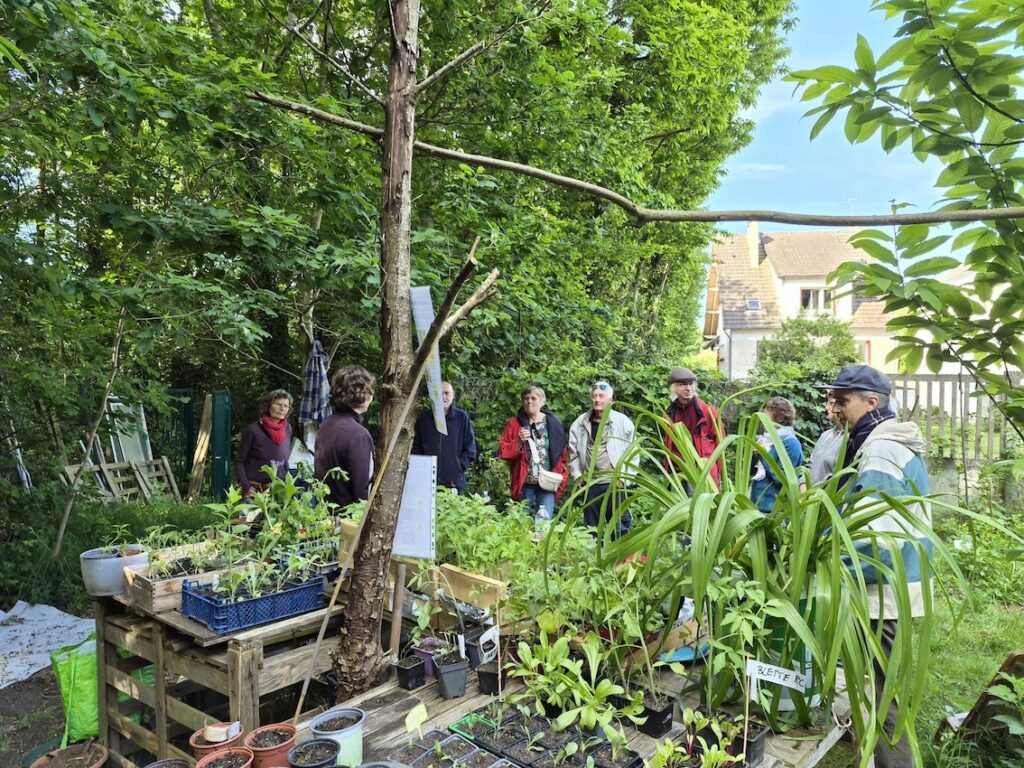 Jardin comestibles troc